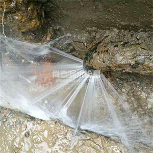 随县消防管道漏水检测